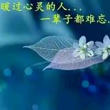 云水禅心43341头像