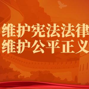 庞潘|北京刑事律师头像