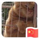 书市码农的个人资料头像