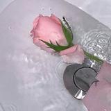 弯道小白头像
