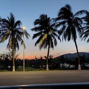 牛牛717的个人资料头像