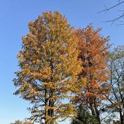 向日葵241的个人资料头像