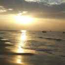 wspisces的个人资料头像