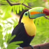 龙抬头在迎宾东路头像