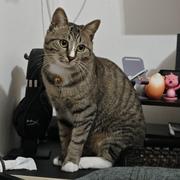 小小小孙的个人资料头像