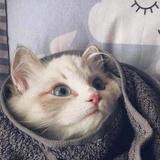 en头像
