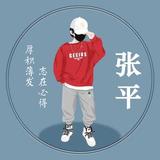 自在张平头像
