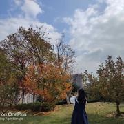 你兰友的个人资料头像