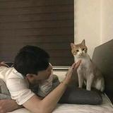 他是远方头像