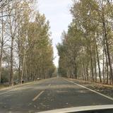 未来路不回头头像