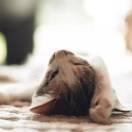 零摄氏度的个人资料头像