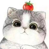 猫家小散头像