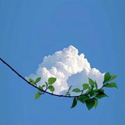 蘅芜40的个人资料头像