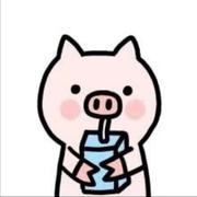 一只小翅膀的个人资料头像