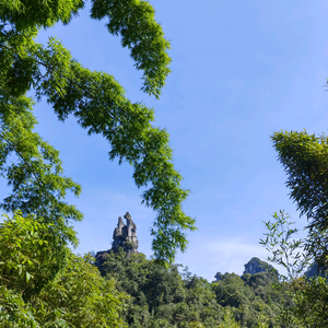 机智的苹果yq头像