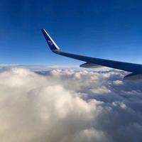 鱼的记忆。头像