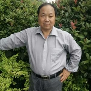 大漠潇洒骑骆驼者头像
