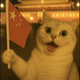 小白只追妖股头像