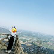 木楠Nan的个人资料头像