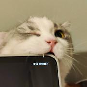 琉璃620的个人资料头像