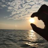 一缕晨光306头像