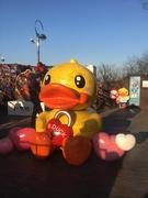 sxyxhj的个人资料头像