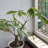 用户9248941786487头像