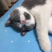 一个码农宝的个人资料头像