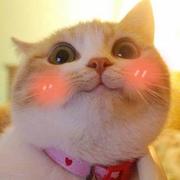 zhuw31的个人资料头像