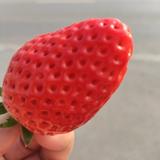一切随缘热爱生活头像