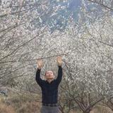 陈健军头像
