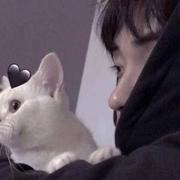 wzx的个人资料头像