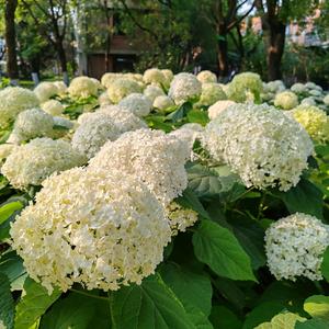 生活启示录头像