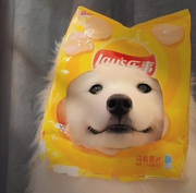 摸鱼emoji的个人资料头像