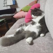 ekko_的个人资料头像