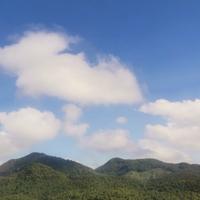 绿油油的乐园头像