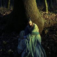 孤云元自在头像