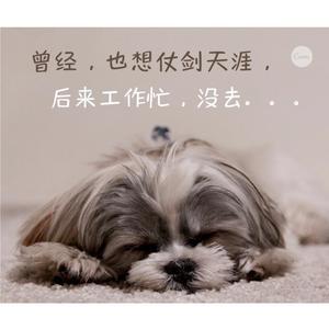 晓飞观影员头像