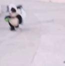 wakaka重名了的个人资料头像