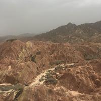 菜菜没有菜头像