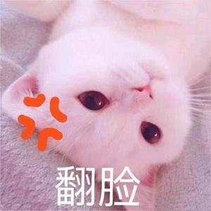 向前看头像