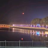 西湖柳峰头像