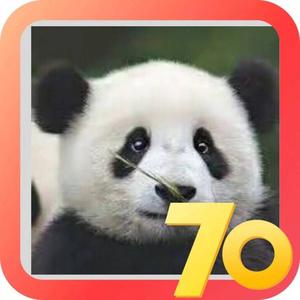 健身野钓王者头像