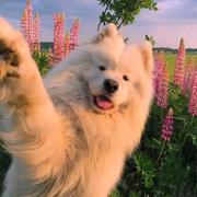 王林林的个人资料头像