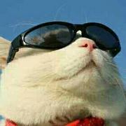 jiaojingLdy1495418501876的个人资料头像