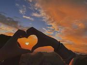 tzls的个人资料头像