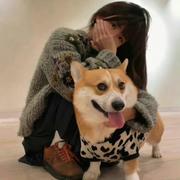 工作之外闲逛的个人资料头像