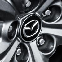 我有小马闯天涯头像