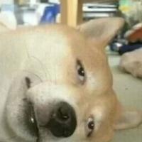 摇个好牌头像