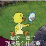 为何一生好似烂泥头像